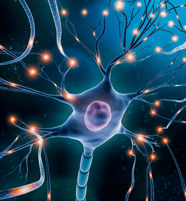 Neuropathies